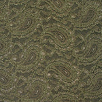 Olive Lace